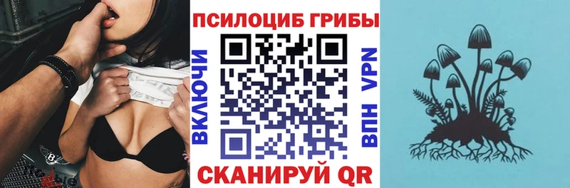где купить наркоту  Зарайск  Галлюциногенные грибы Psilocybine cubensis 